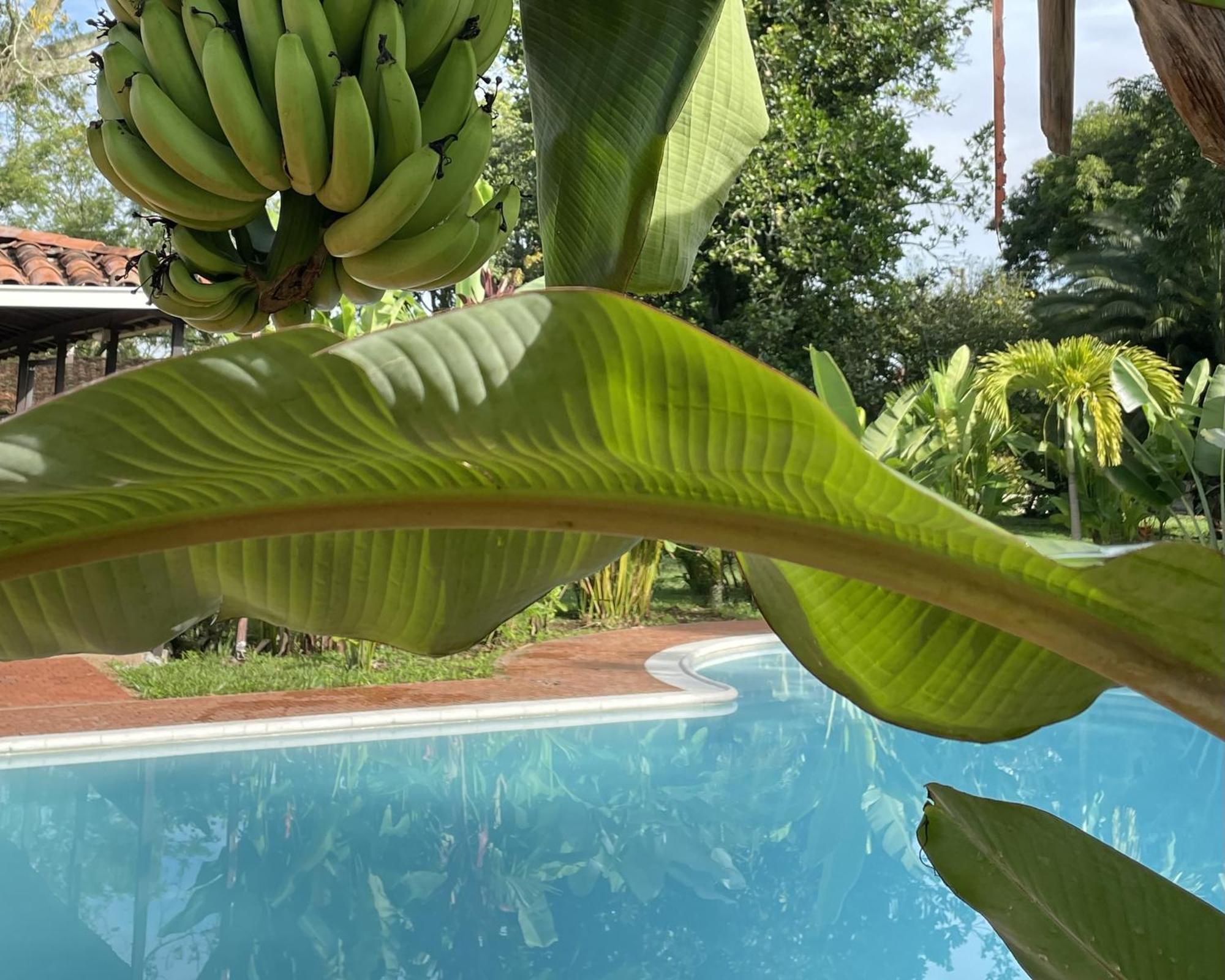 Muchosur Quimbaya Hotel Exterior foto